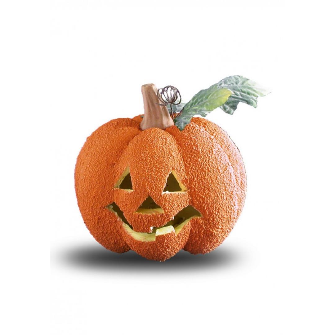 8004761077907_1 Zucca Con Luce - immagine 1